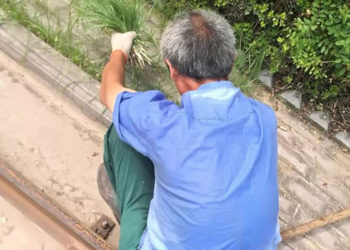烈日下的擔(dān)當、高溫下的堅持